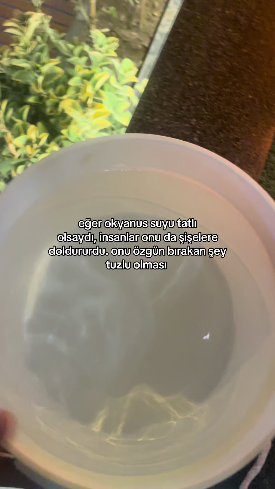 @bakiyogozlerimanaali