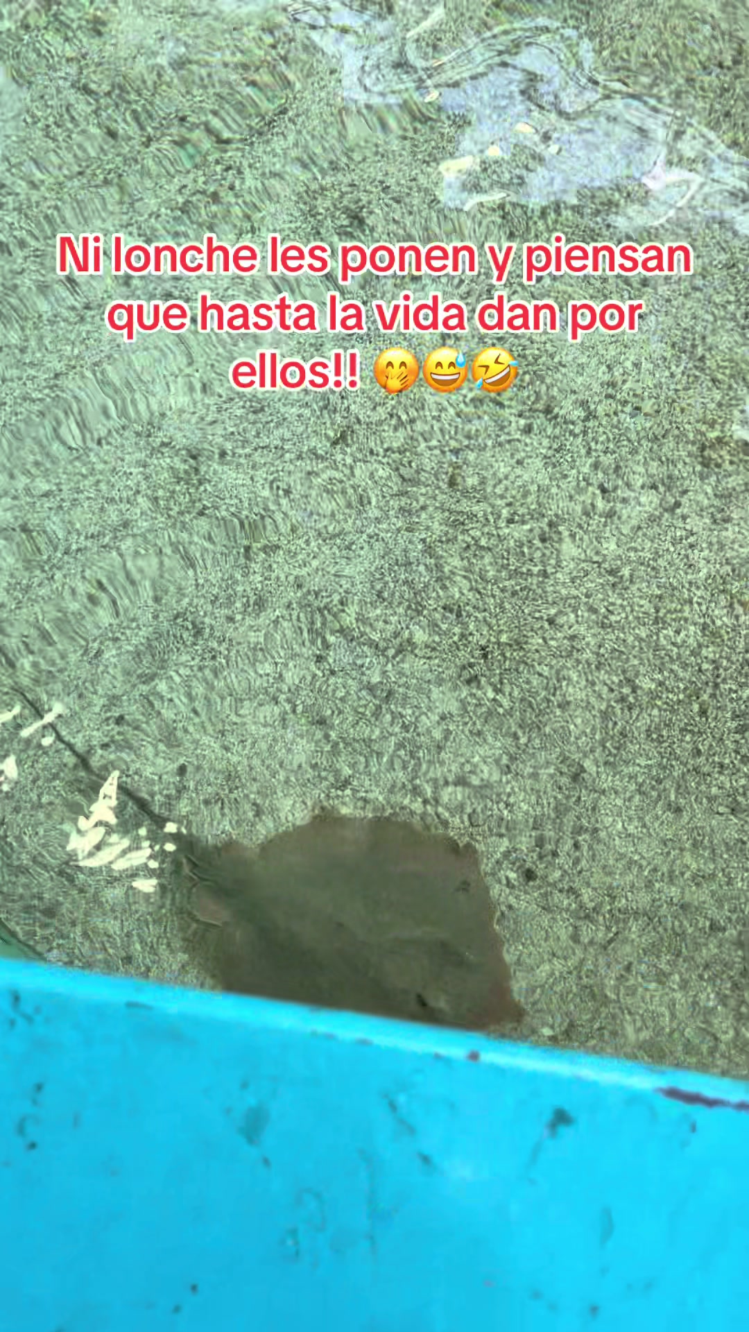 @Cinthya Sambrano