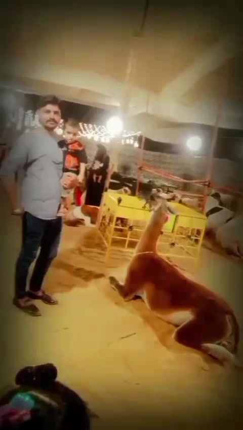 @ShahRukh Ansari