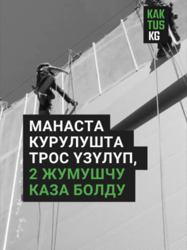 @Kaktus KG