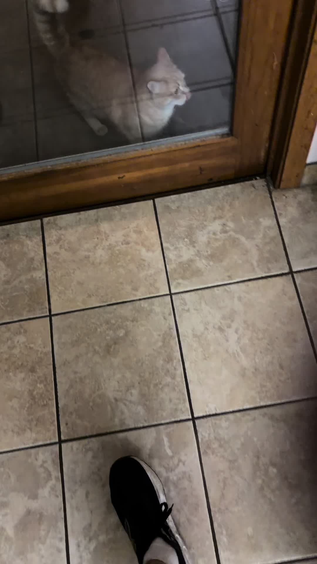 @stinkypeeteee