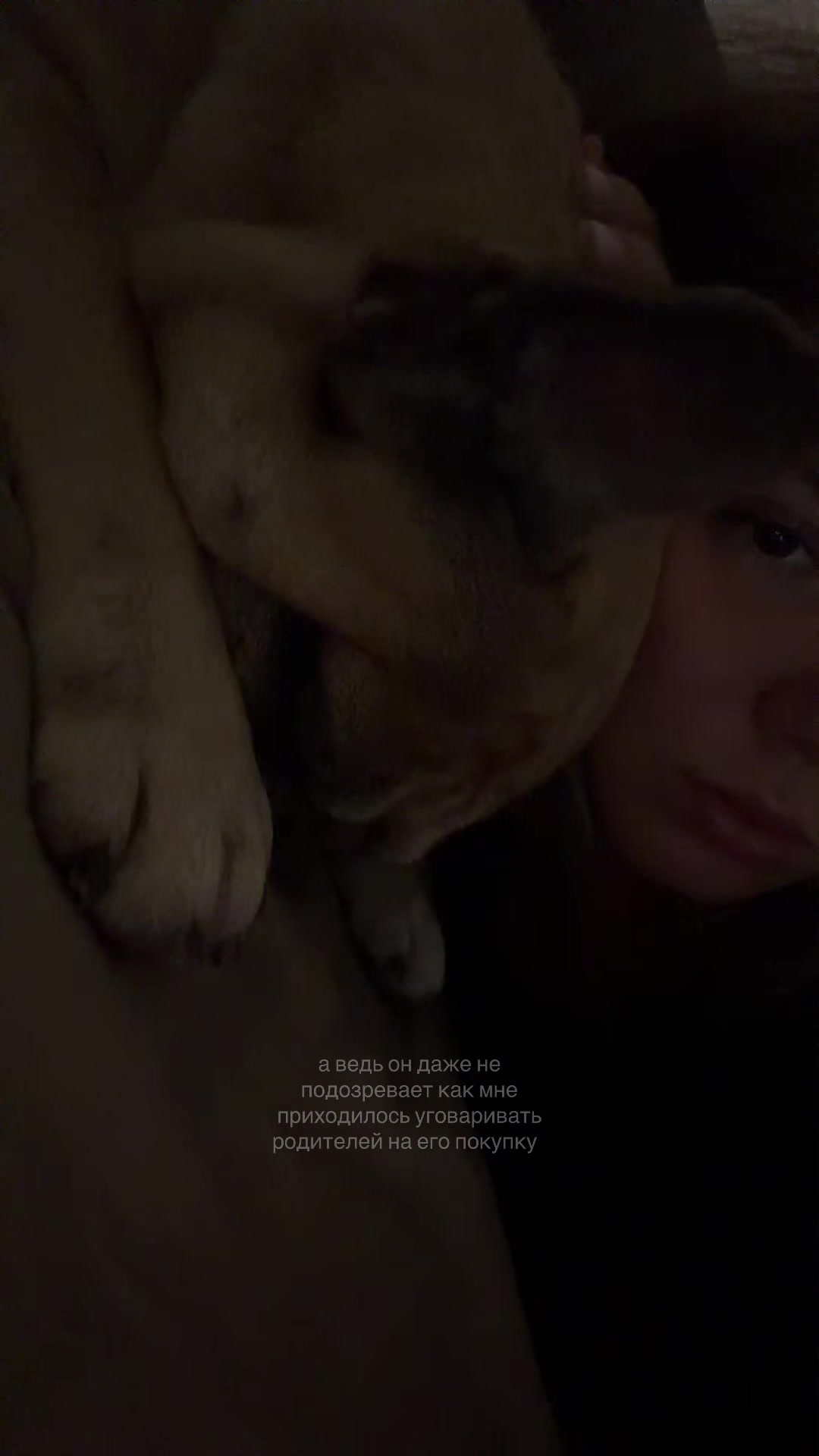 @выходцева
