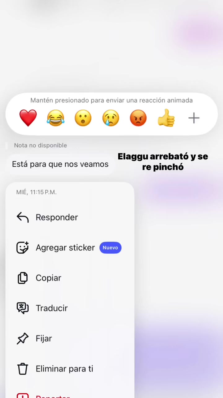 @antonellasalgan2227