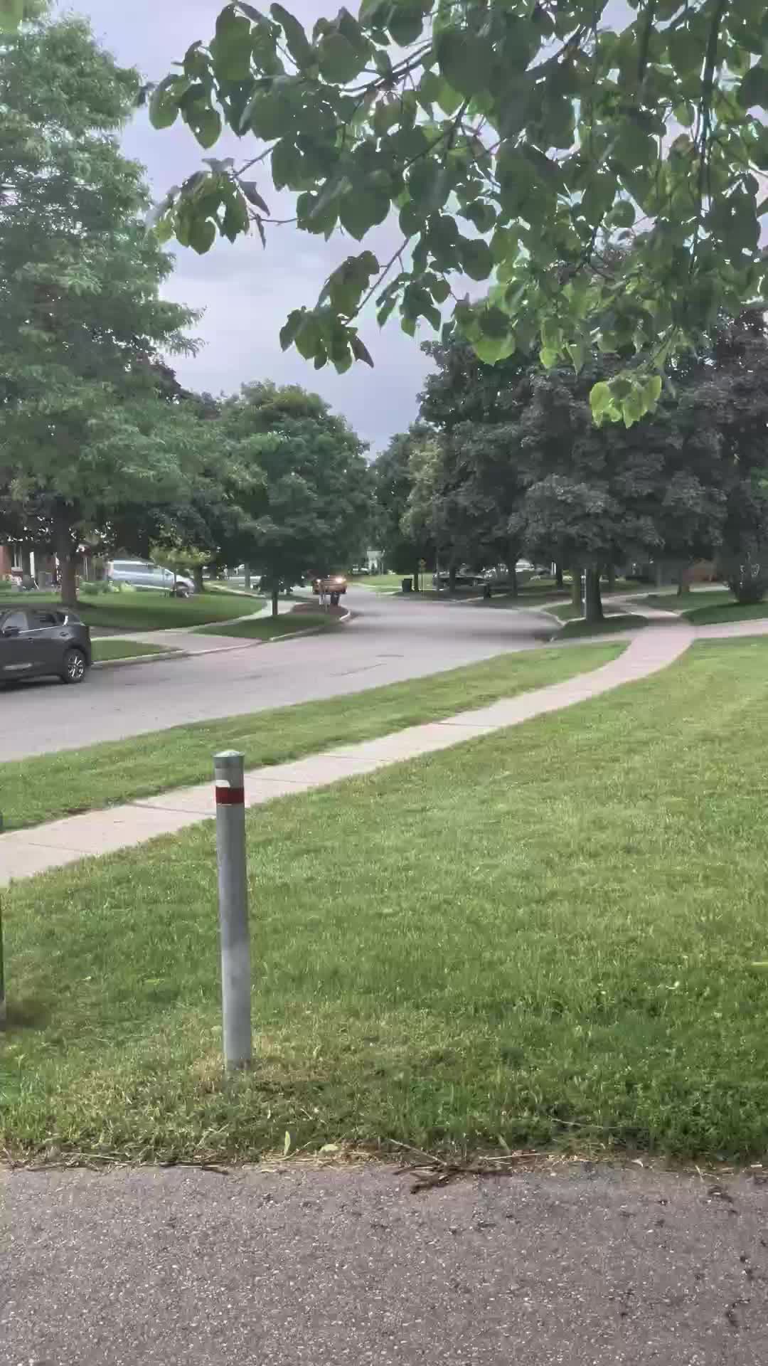 @Waterloo.region.911.vehicles
