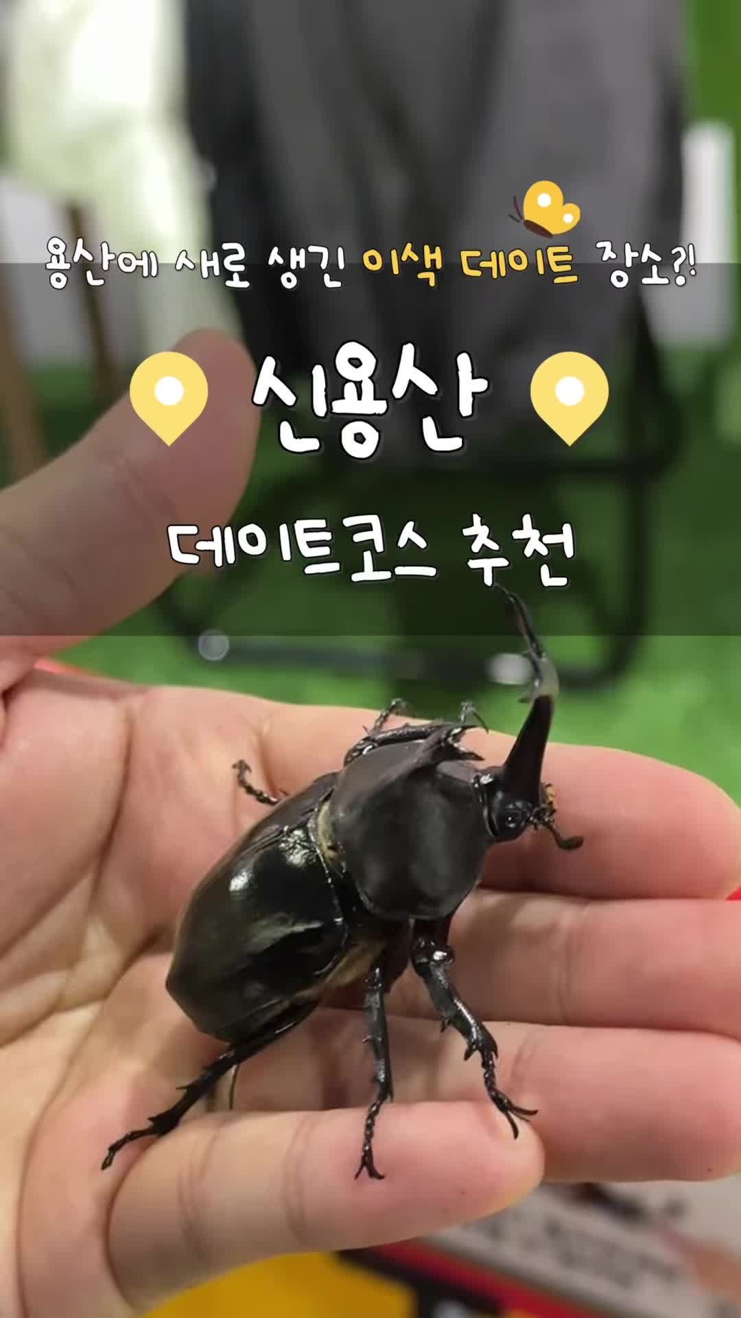 @놀자커플