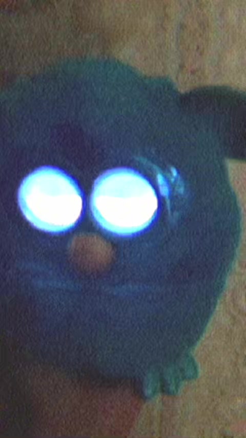 @Star Furby ✮ˎˊ˗ (๑ㅁ꩜) !!