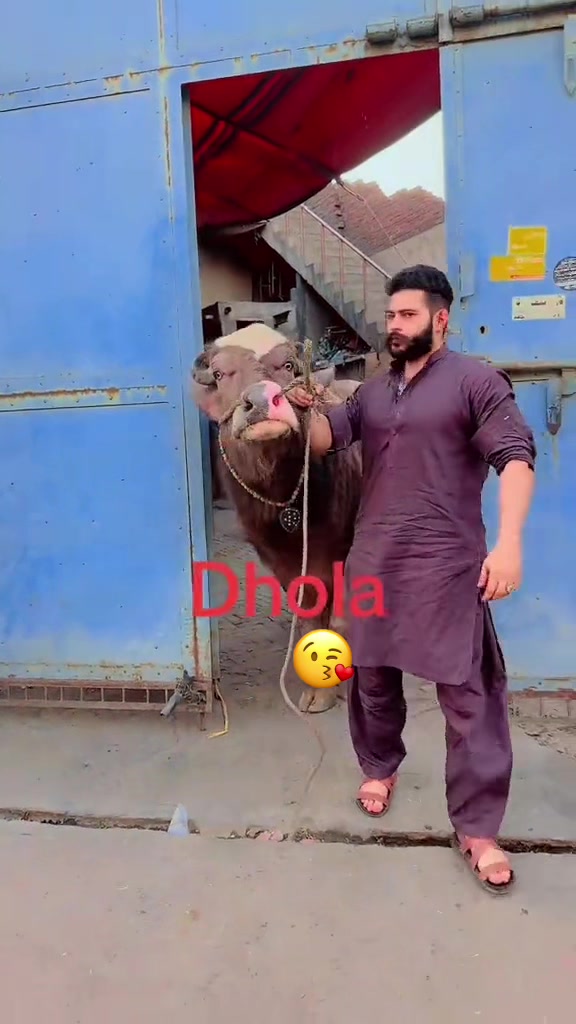 @ch junaid mehar