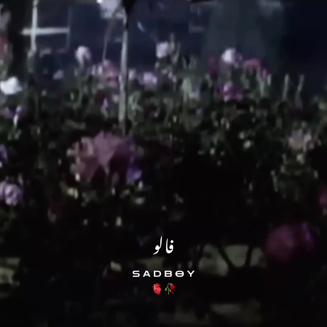 @😢 SAD BOY🎶
