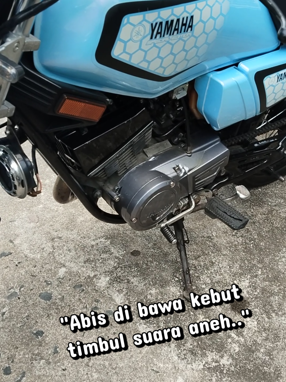 @bhoNaifa