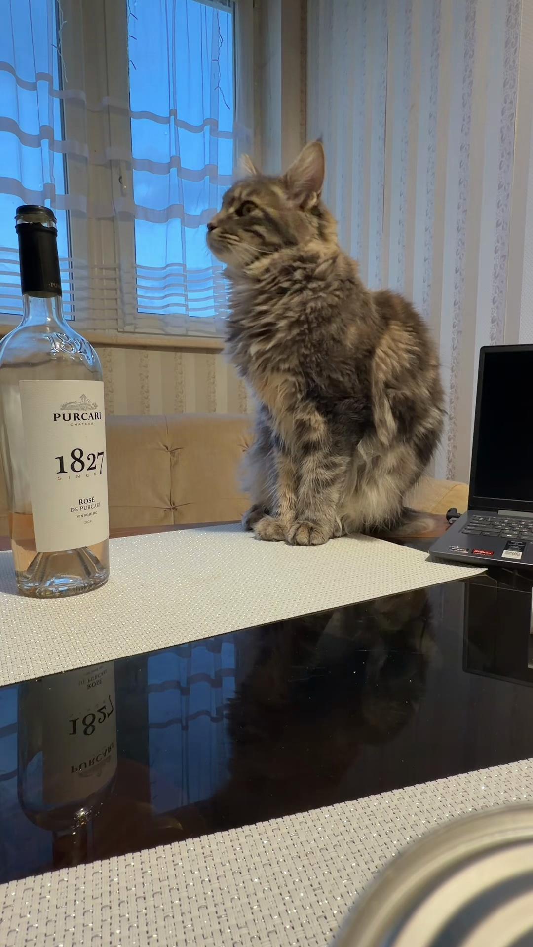 @Леся Мадей