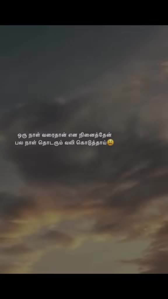 @🌻💛мαмα ρσииυ fσяєνєя🌻💛