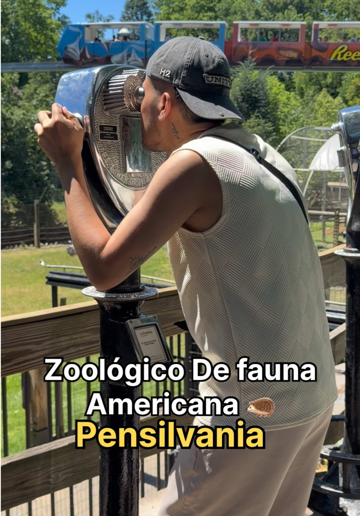 @Camilo&ensp;N&uacute;&ntilde;ez