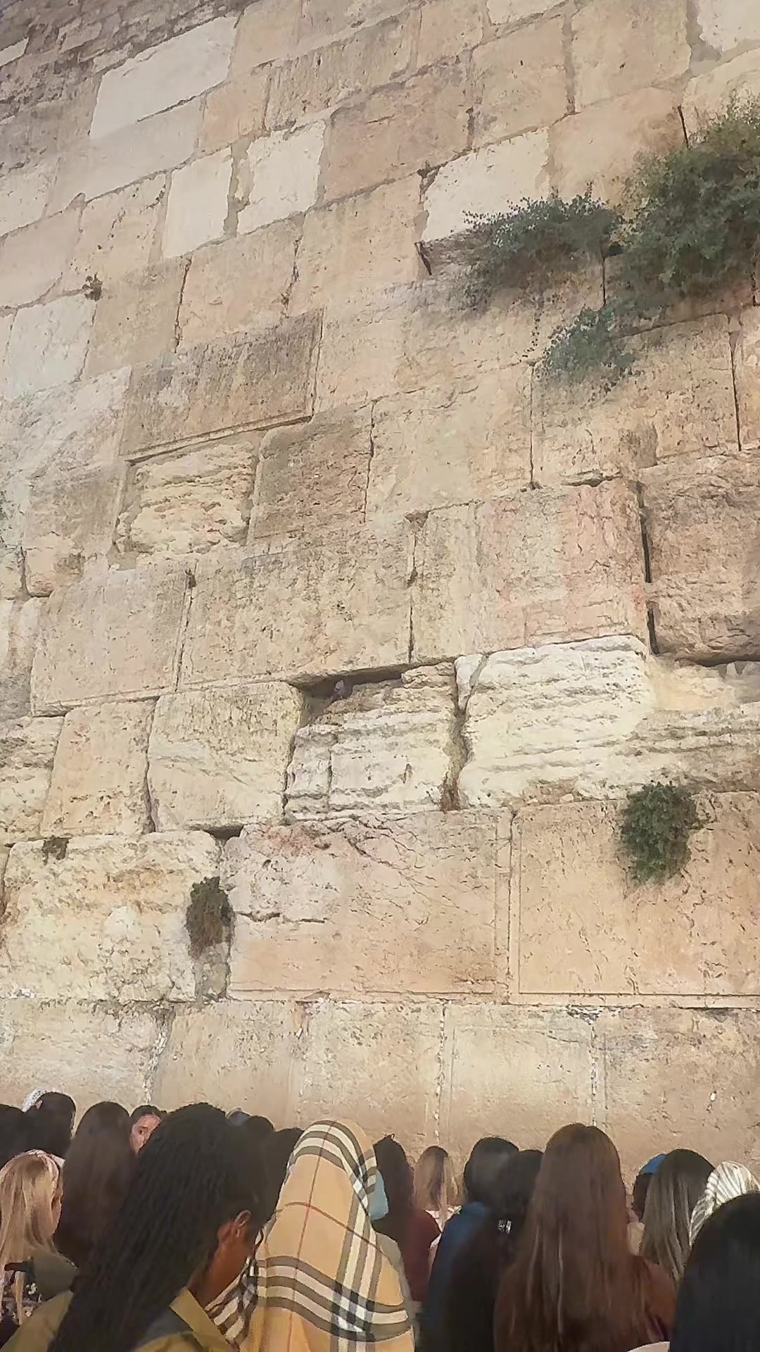 @אביבה 888🧚🏻♀️777ישראל🇮🇱