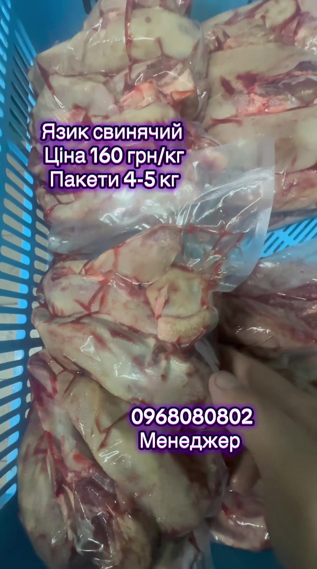 @msmakoluku