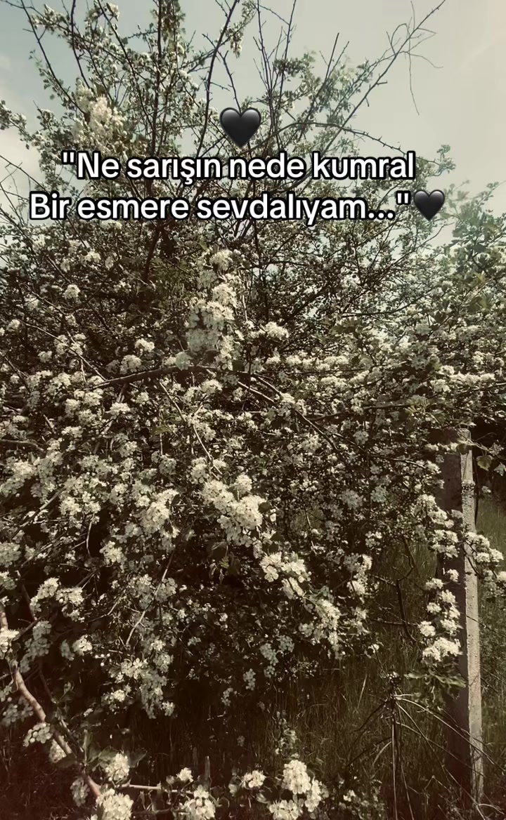 @Seziz adam😞