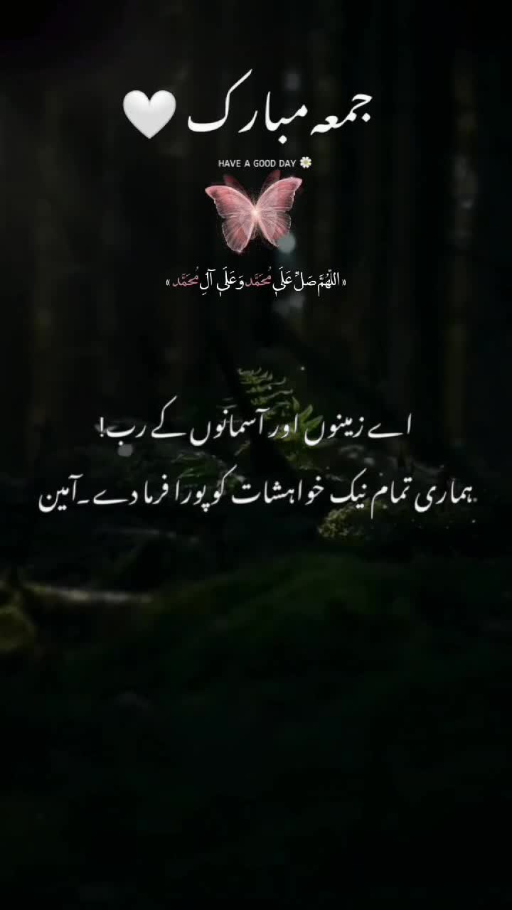 @Aisha