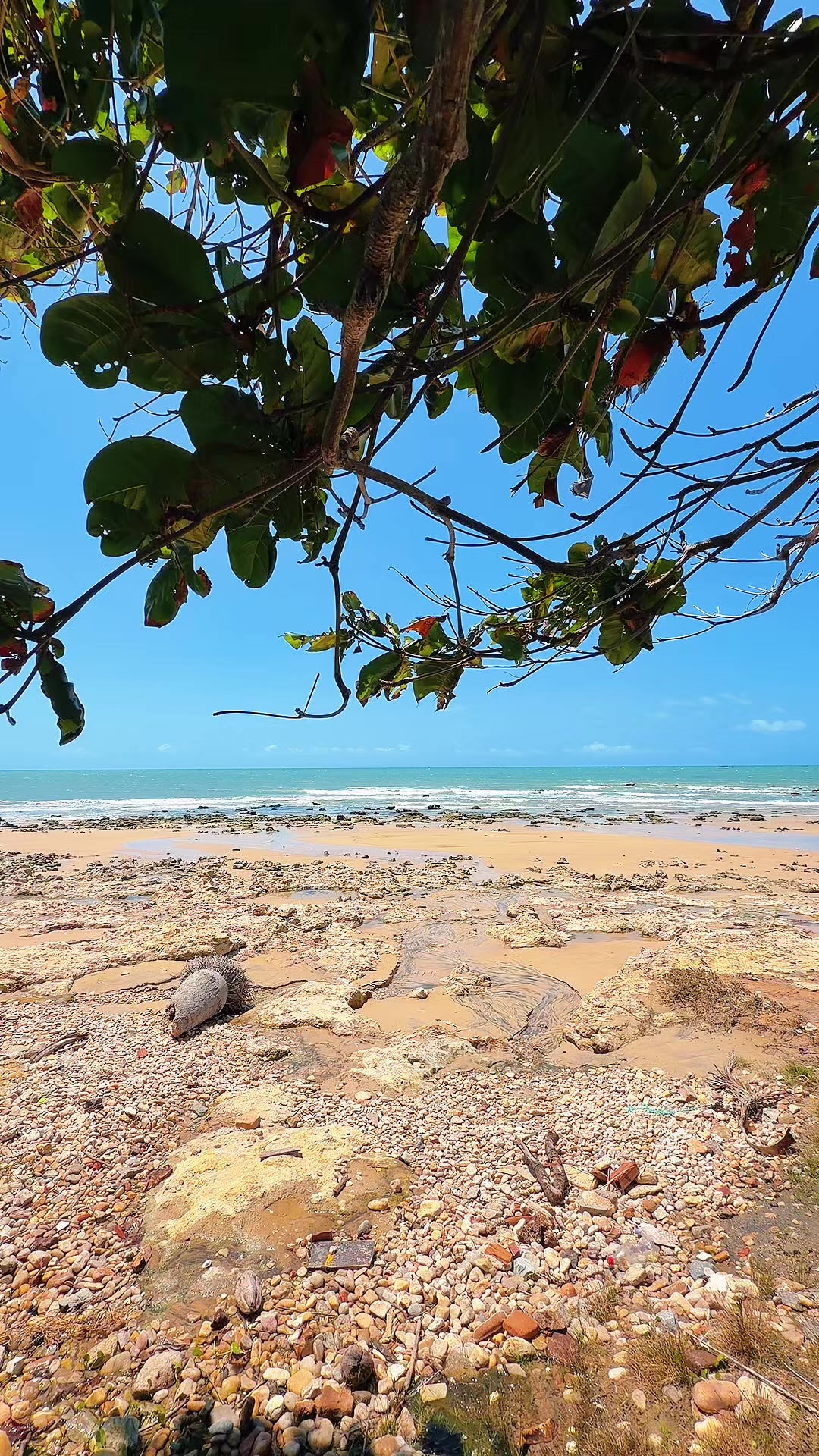@praia de lagoinha - ce