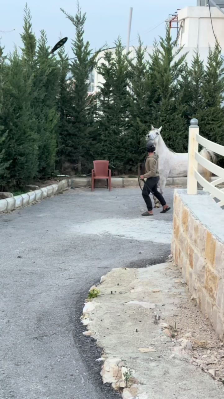 @الأصيل