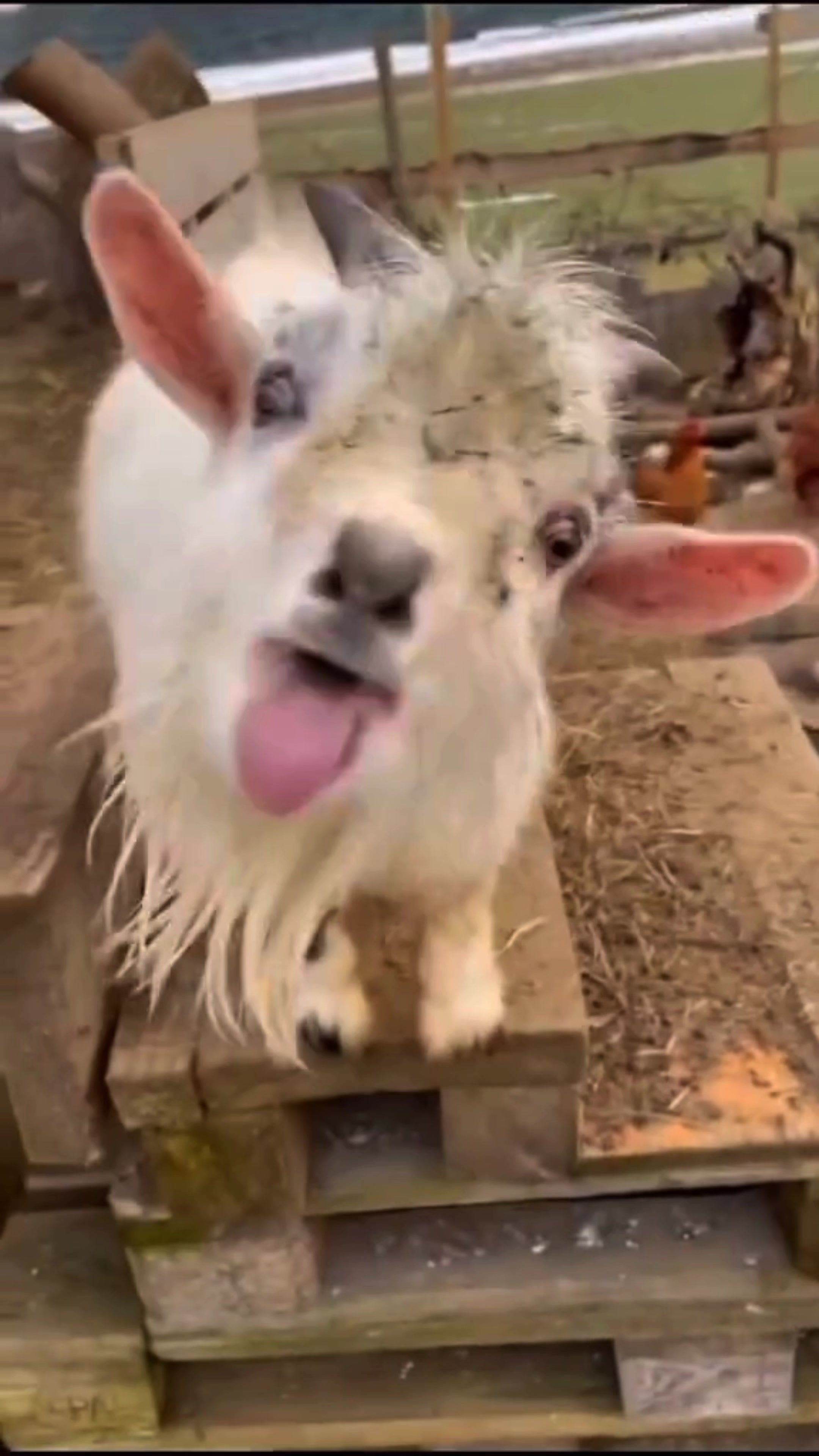 @𝗖𝗔𝗧𝗦