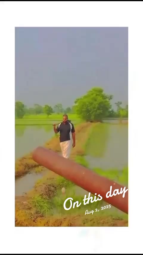 @جانی چٹھہ ــ کوٹلے ــ آلہ143✨✨