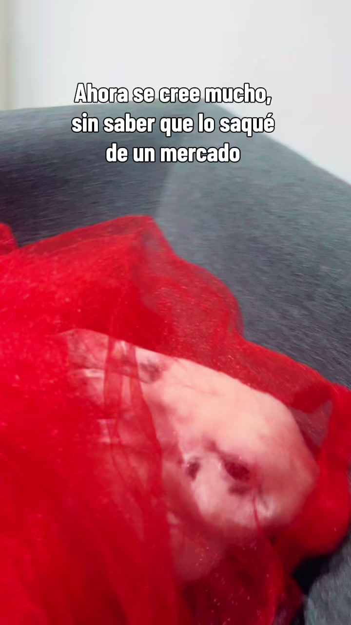 @Soy Luna