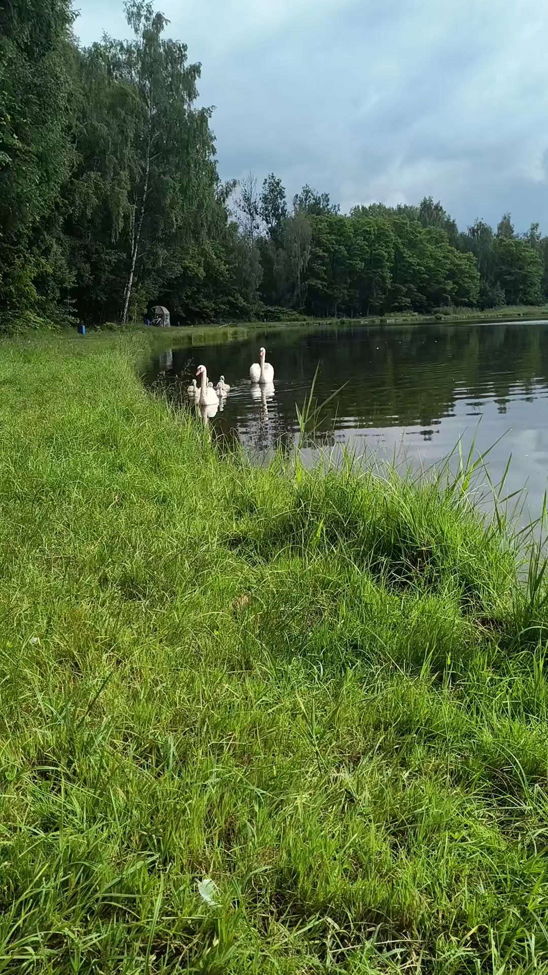 @юличка