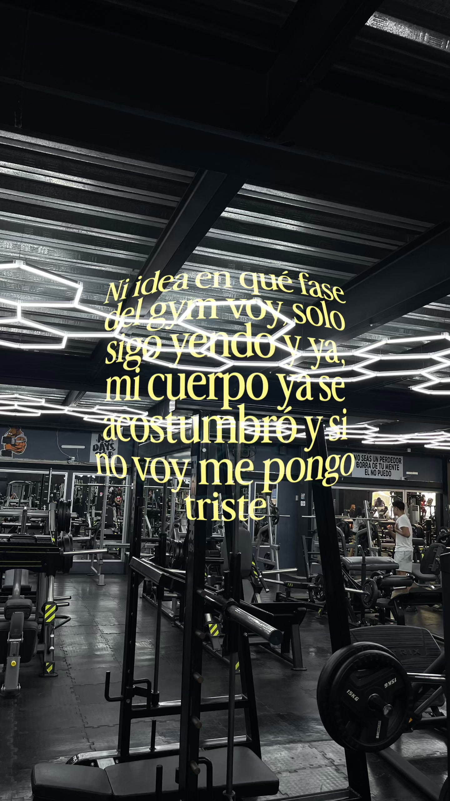 @kingsgymfitness