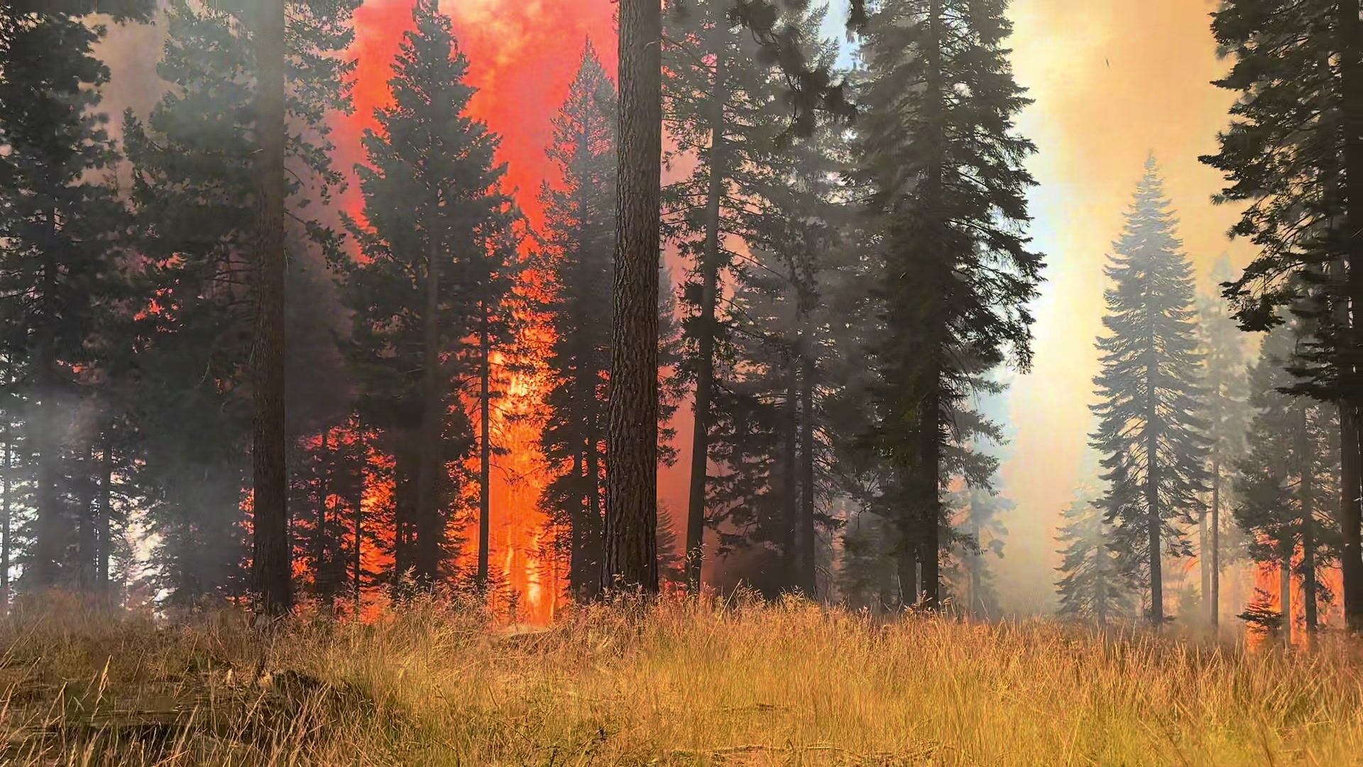 @Brennen Buelna