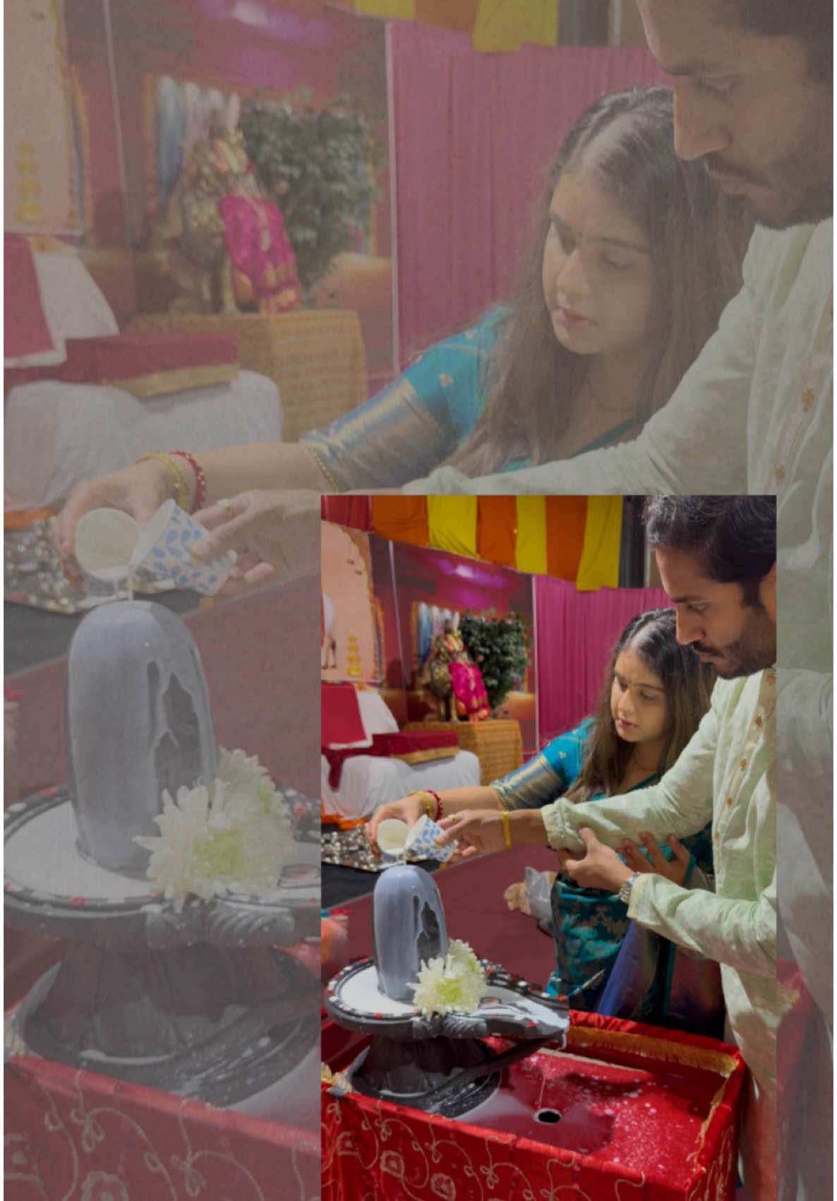 @Vrutisha Patel-Dalwadi (VP)