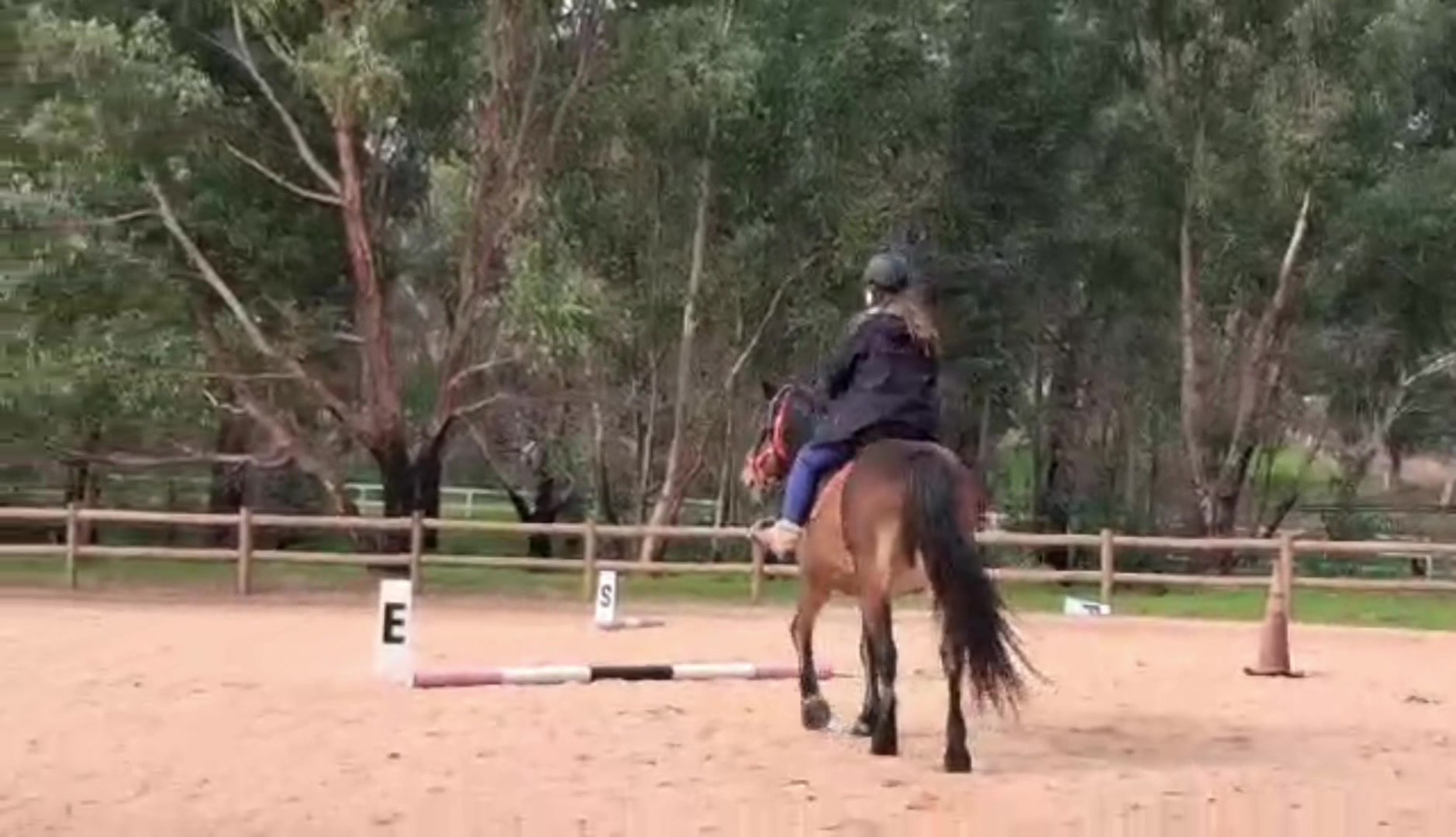 @sian_charlies_horsey_