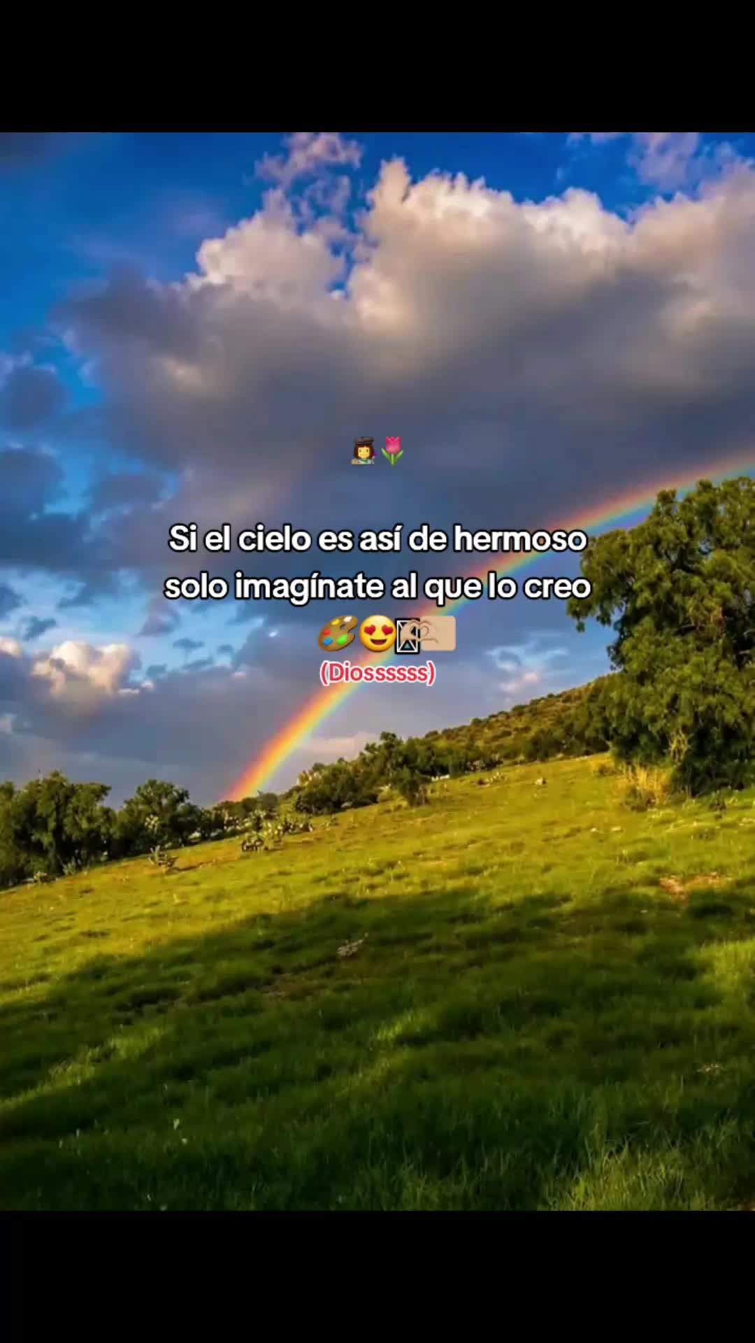 @ELIANNYS🌻