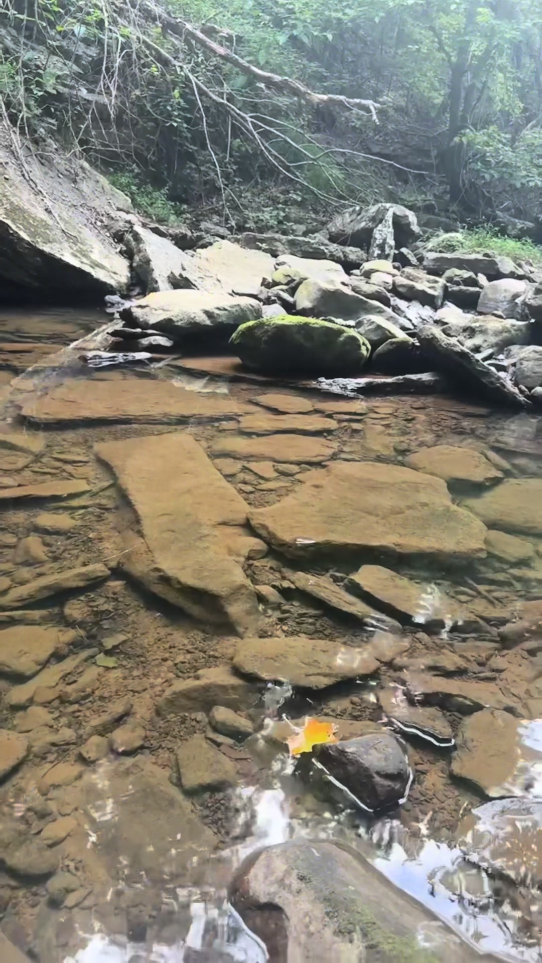 @Fablewood Hollow