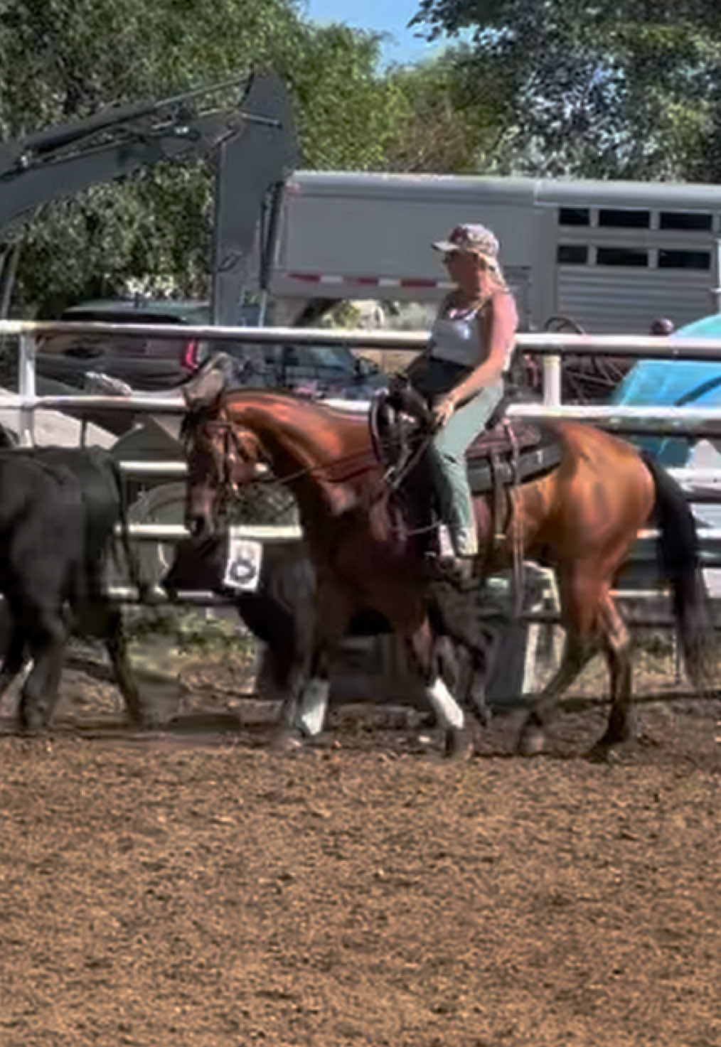 @Mindful Equine Ltd.