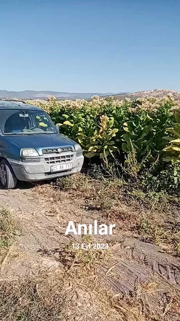 @İlyas korkulu