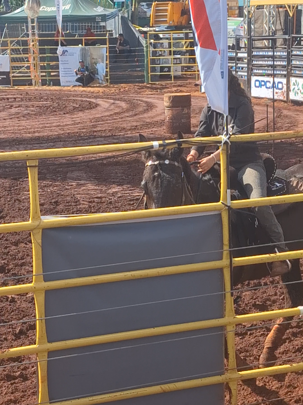 @rodeo