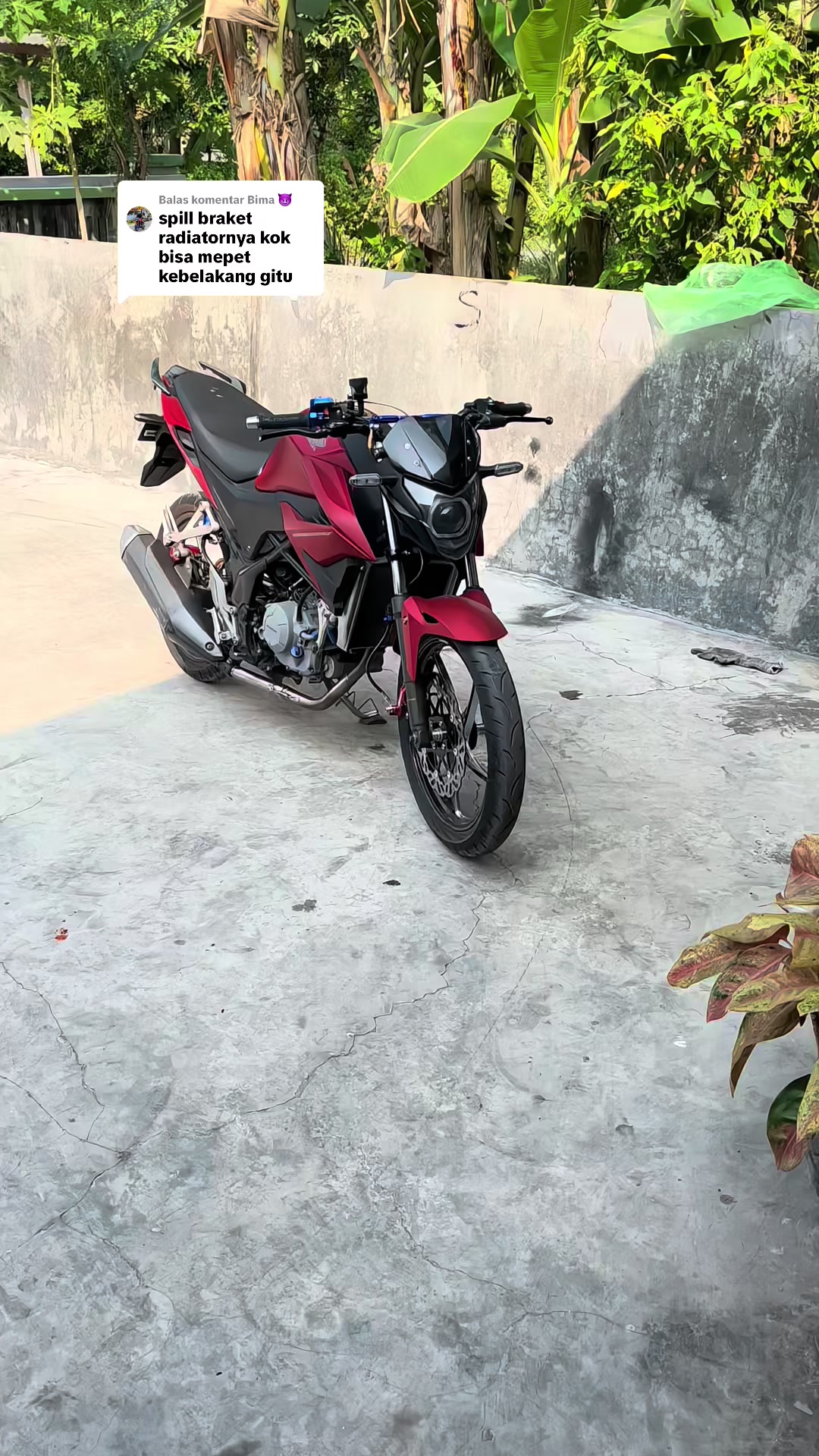 @Sebutsajadava.