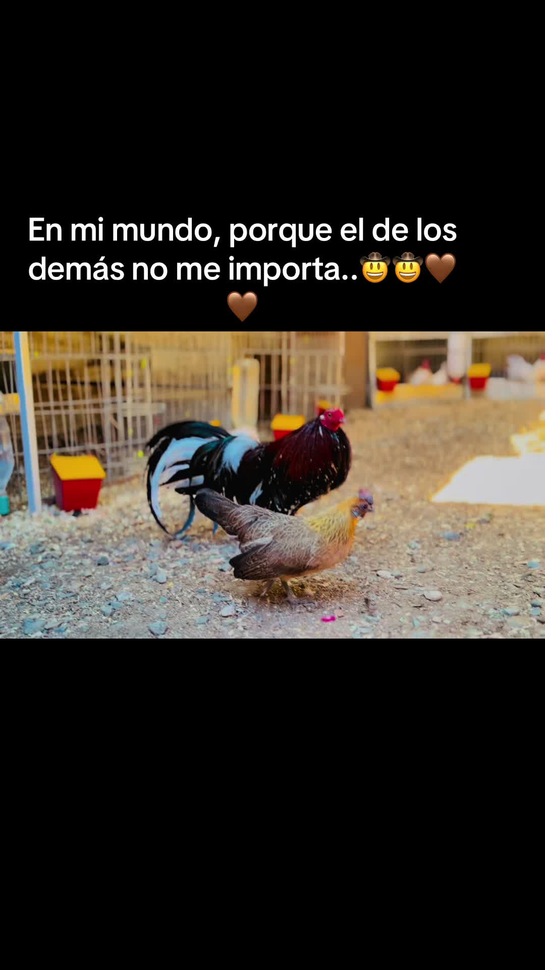 @jazdiaz❣️