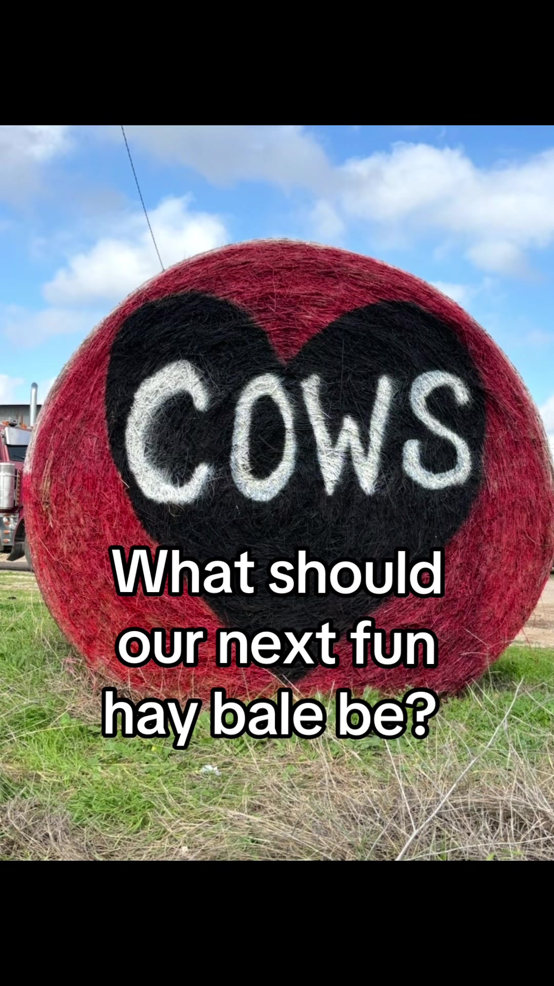 @Gonzales Livestock Market