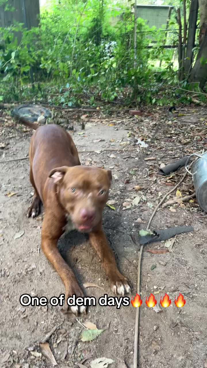 @kamwithapbt