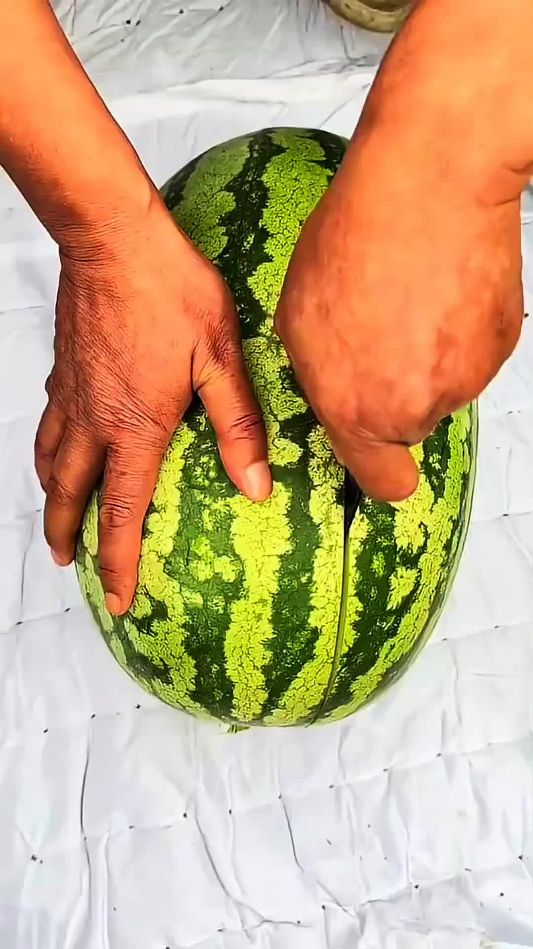 @◉‿◉