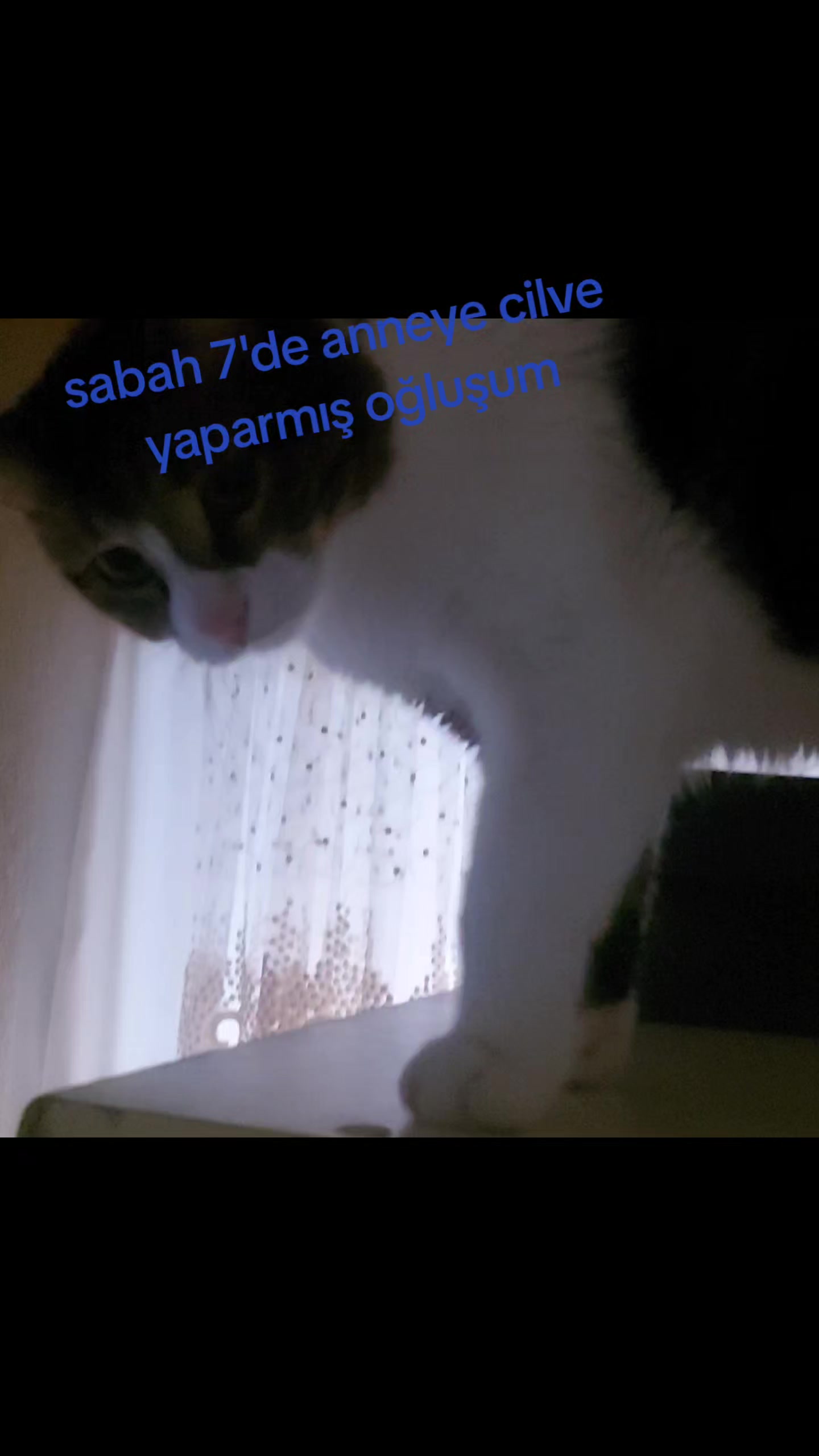 @GoncaBıçakUlaştısoy