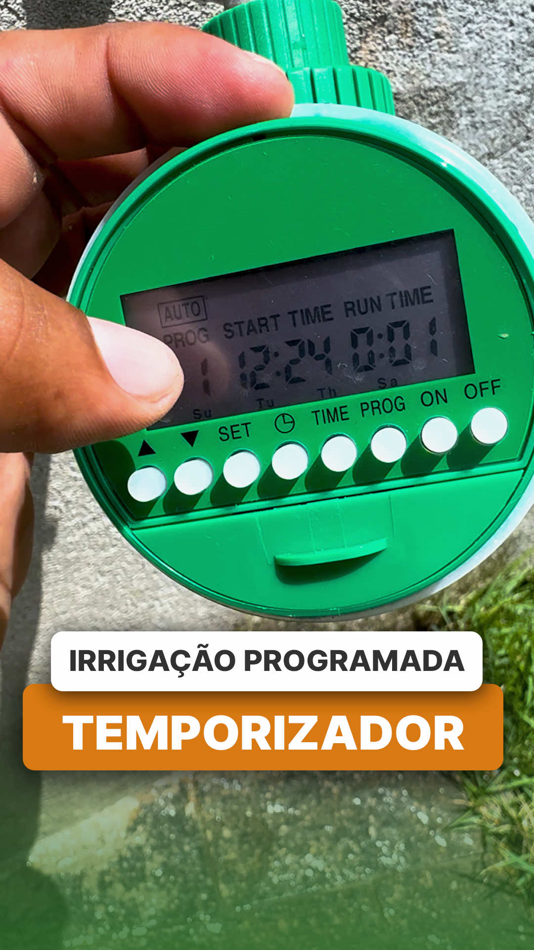 @ViveiroProMudas