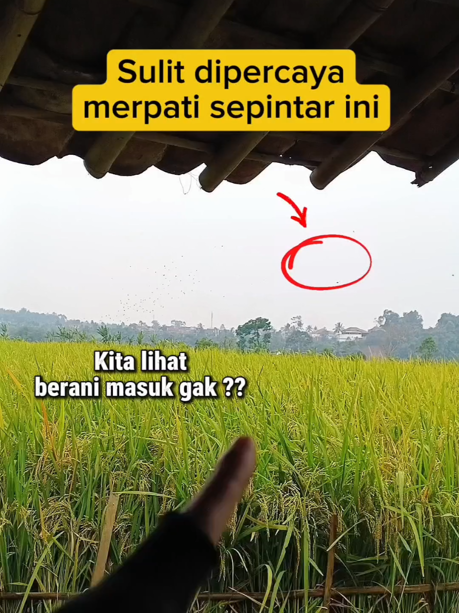 @BANG LEYON