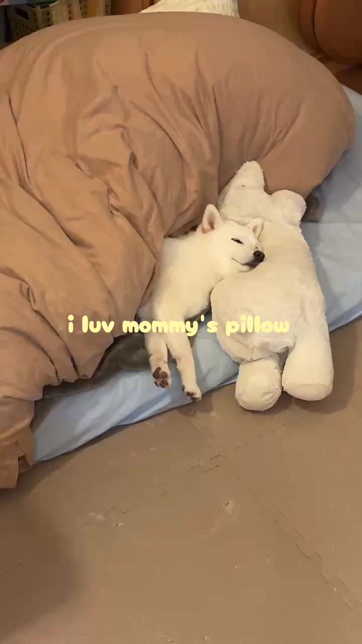 @Mochimaru