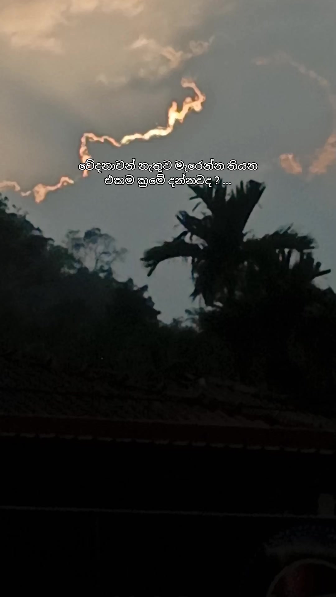 @S H E ⚡' Y