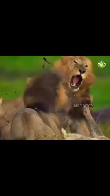 @prasanth baby 🗡🇱🇰