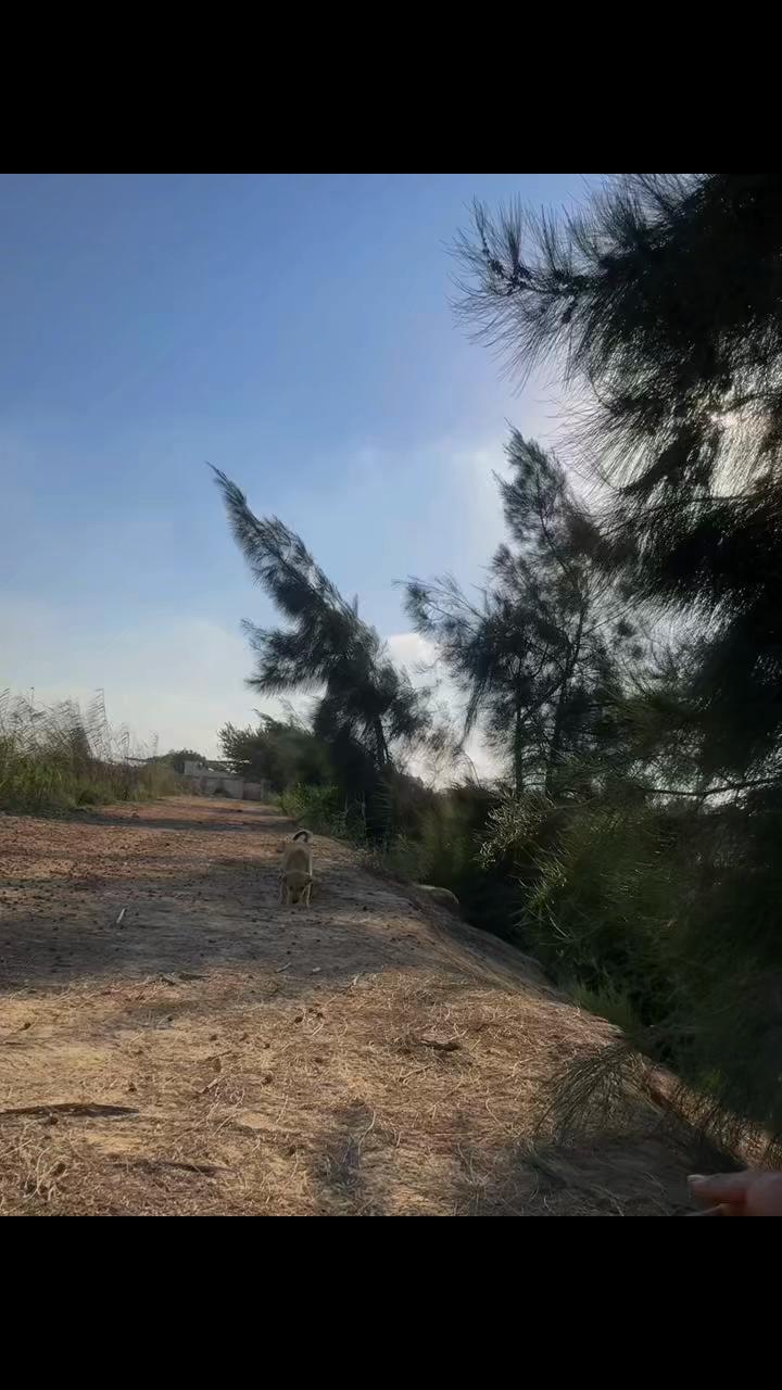 @وليد الصعيدي 🦅