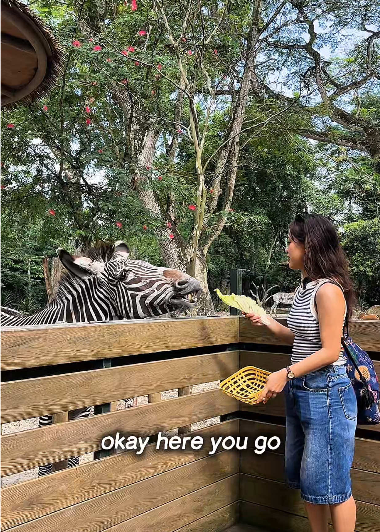 @glad✨