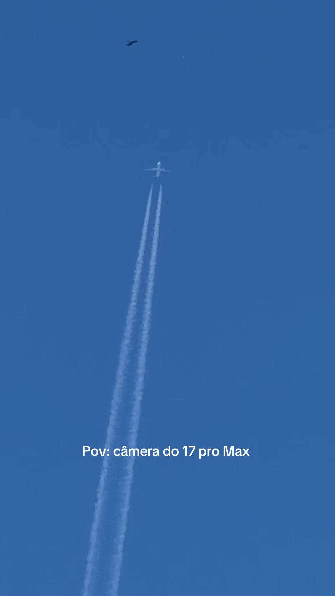 @Mayane Lopes