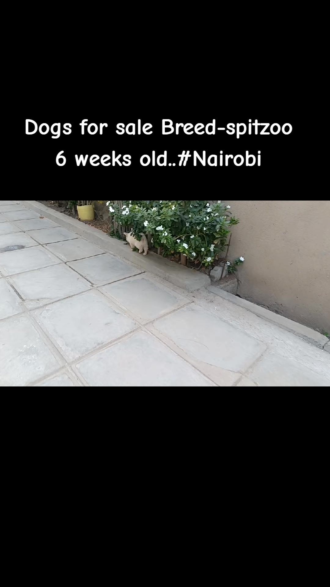 @Angel ndegwa